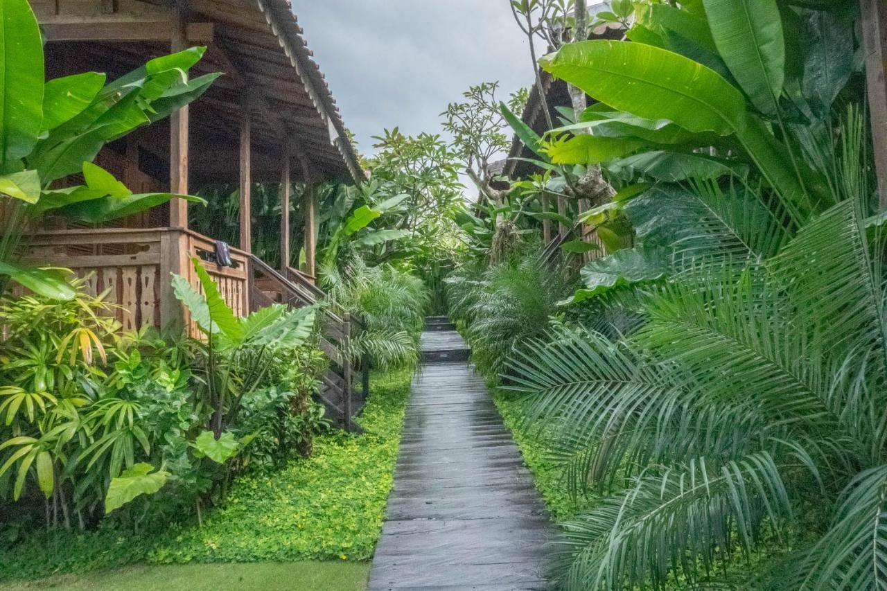 Bajalo Cottage Canggu المظهر الخارجي الصورة